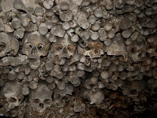 Крипта Стефансдома