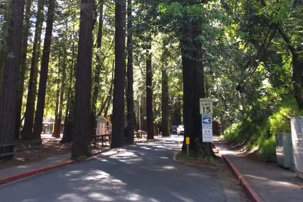 «Темный парк» на Мадрон-авеню