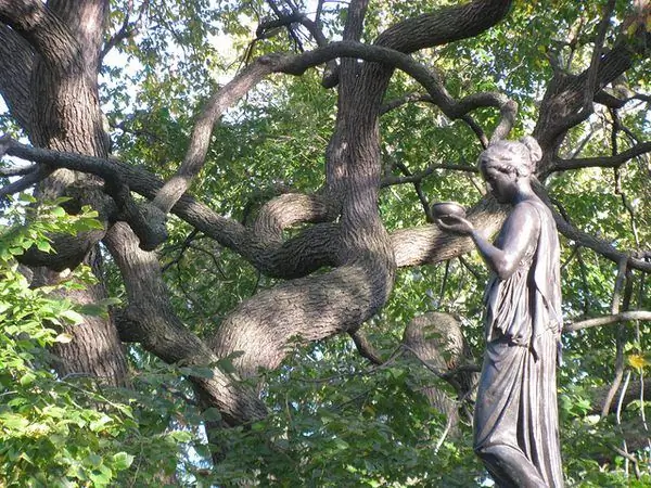 Фонтан воздержания на Томпкинс-сквер