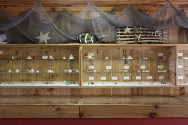 Музей ракушек Кеннета Э. Стоддарда