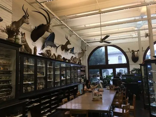 Лаборатория природы Эдны Лоуренс