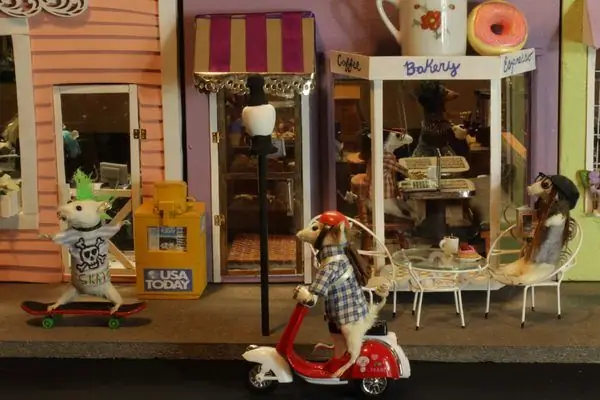 The Wacky Taxidermy & Музей миниатюр