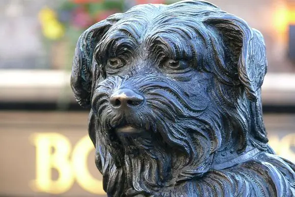 Грейфрайарс Бобби