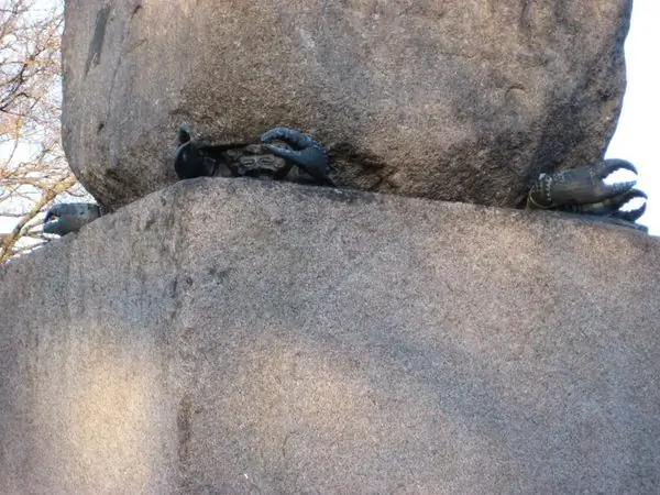 Крабы Иглы Клеопатры