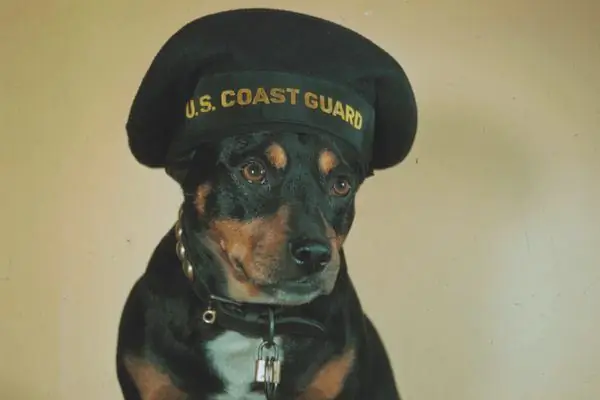 Могила пса Синдбада