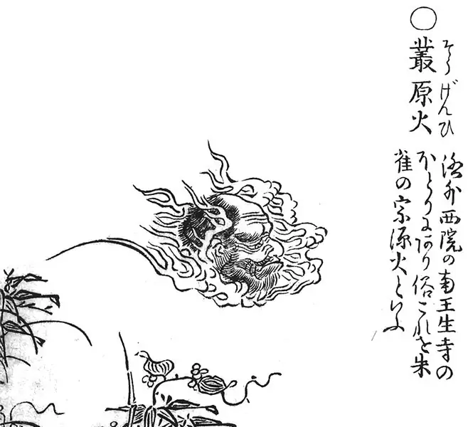 Согэн-би из «Иллюстрированного ночного парада ста демонов» Ториямы Сэкиена