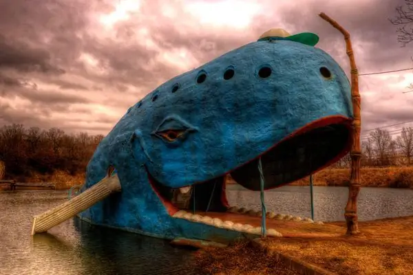 Синий кит Катуса