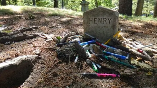 Авторский хребет