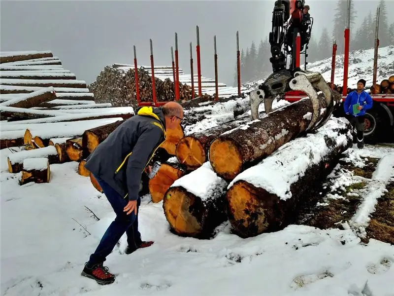 Фабио Огнибени исследует деревья, поваленные зимним штормом, чтобы определить, подходят ли они для изготовления музыкальных инструментов