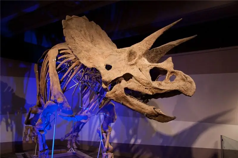 «Клифф, изображенный здесь, в Музее науки в Бостоне, в 2011 году, оказался в государственном учреждении после того, как был продан частному покупателю. &39