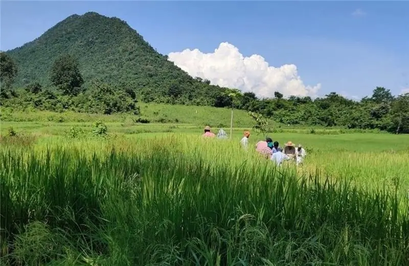 Фермеры в Басудхе во время тренинга по характеристике риса