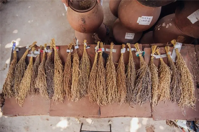 17 000 фермеров воспользовались коллекцией Деб