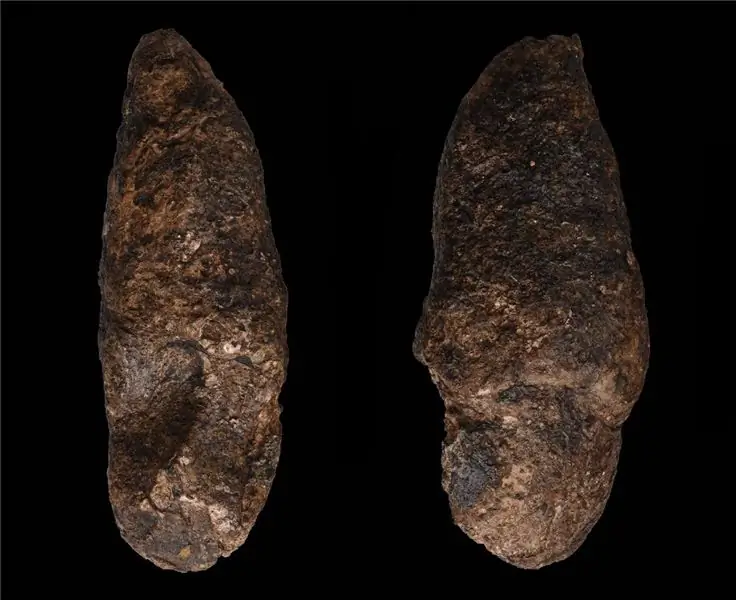 Копролит имеет отпечаток пальцев крокодила