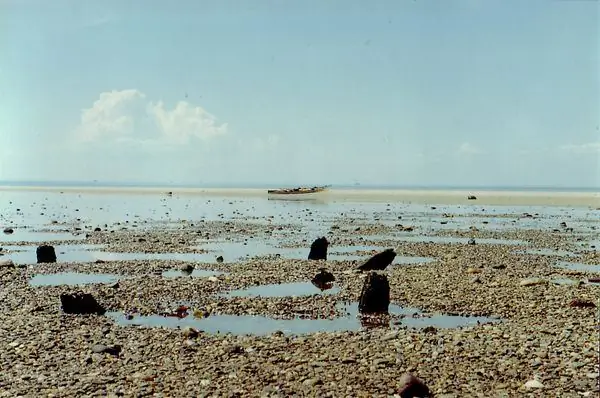 Атлантида Кейп-Код