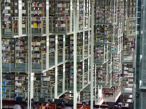 Библиотека Васконселос