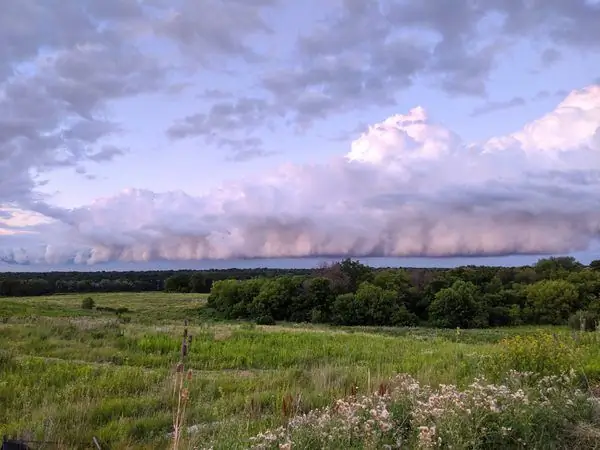 Фронты пневмонии загадочны, «резкие» погодные явления