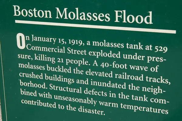 Налет из патоки в Великом Бостоне