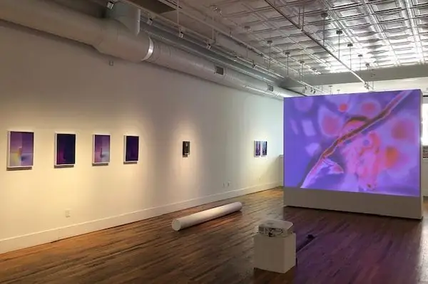 Музей колледжа Блэк Маунтин + Центр искусств