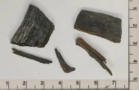 Древнее, почерневшее дерево