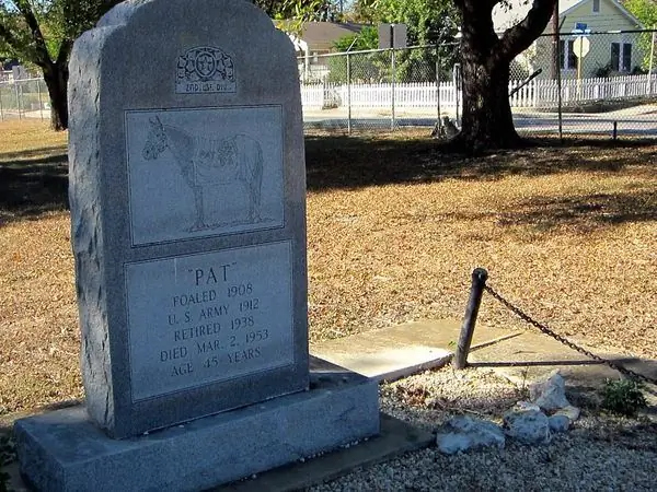 Могила лошади Пэт