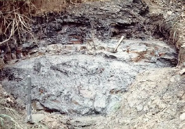 Кратер Чиксулуб