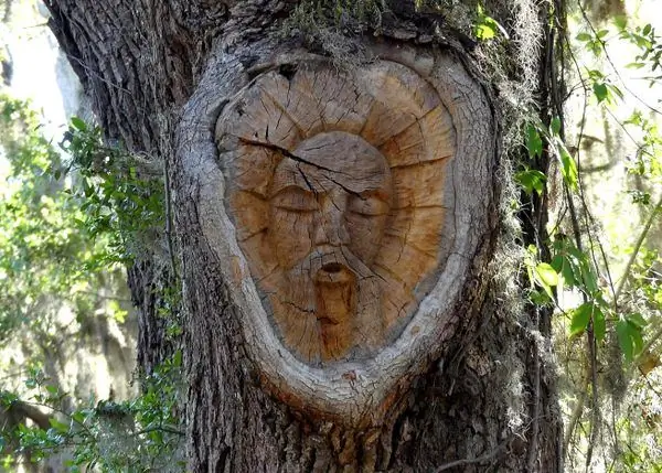 Лики деревьев острова Сент-Саймонс