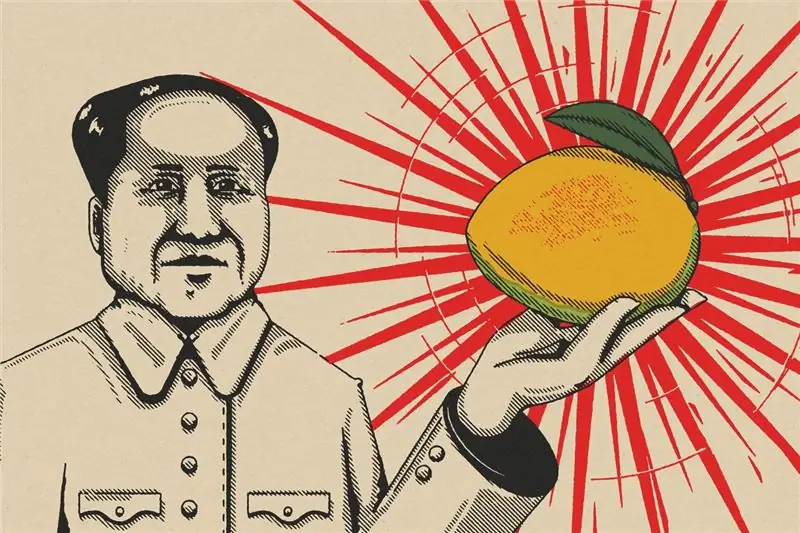 Мао нашел манго слишком грязным Мао нашел манго слишком грязным