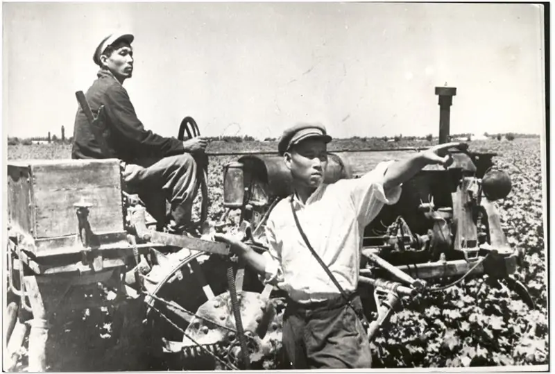 Корейские рабочие в колхозе в Узбекистане на хлопковых полях, конец 1950-х гг