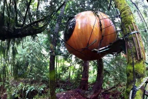 Сферы свободного духа