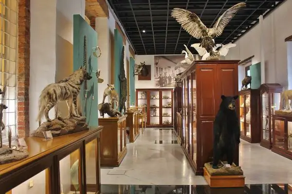 Музей естественной истории Мануэля М. Виллады