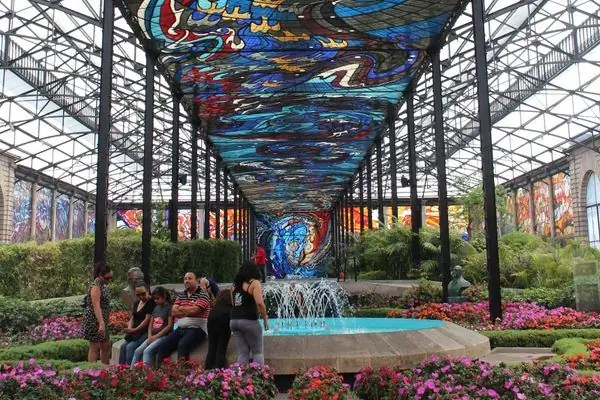 Космовитраль Ботанический сад