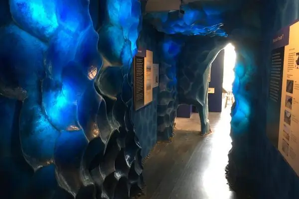 Ледниковый период