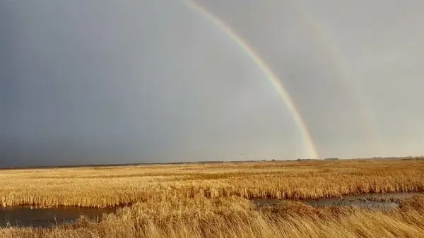 Самое большое болото во внутренних районах США