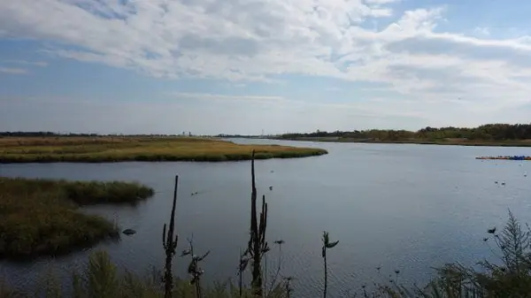 Морской парк Солт-Марш