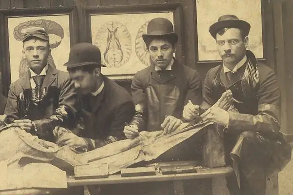 Тела в подвале: забытые украденные кости медицинских школ Америки