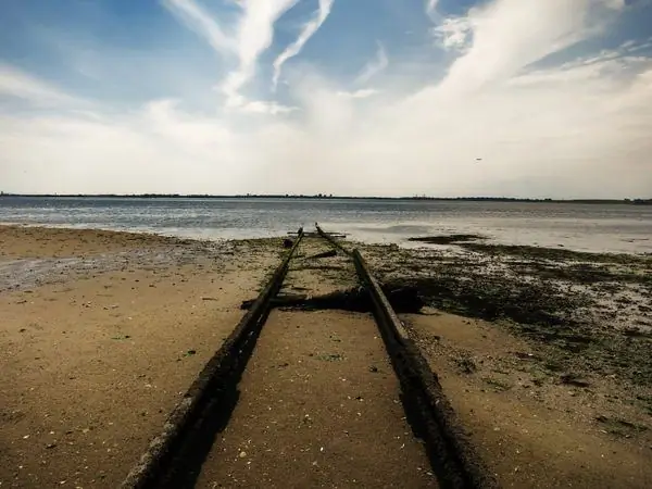 Природа в городе: заповедник дикой природы залива Ямайка