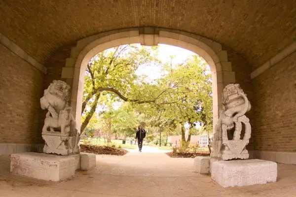 Нефф Холл Китайские каменные львы