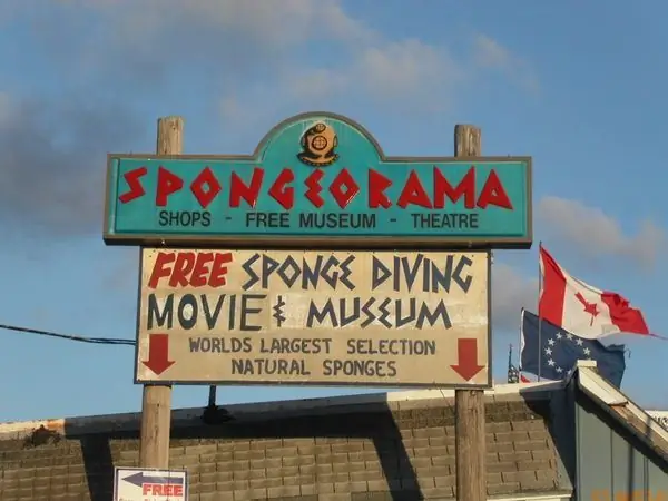 Фабрика губок Spongeorama