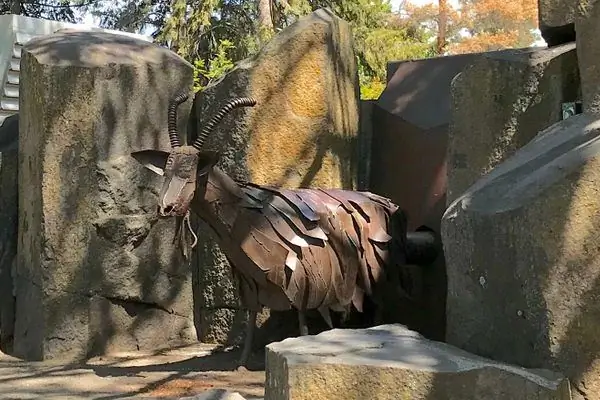 Мусороядная коза Спокана