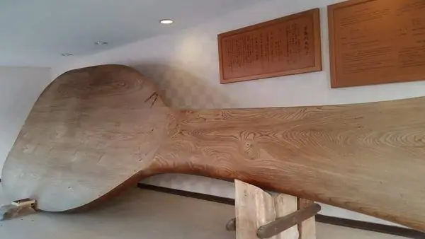 Самая большая в мире ложка для риса