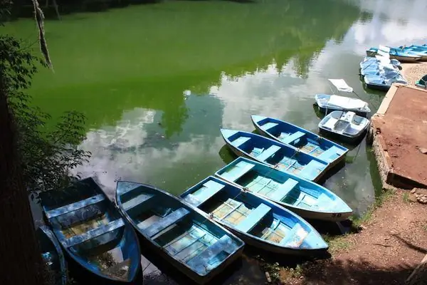 Bosque de las Truchas (Лес форели)