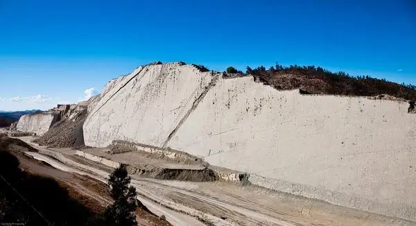 Танцпол с динозаврами