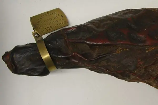 Самая старая съедобная ветчина в мире