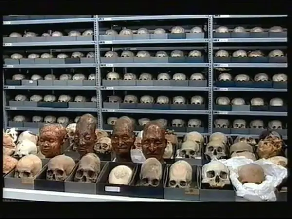 Комната 10 000 древних черепов
