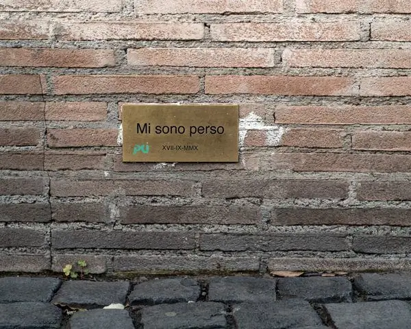 Табличка "Я потерялся"