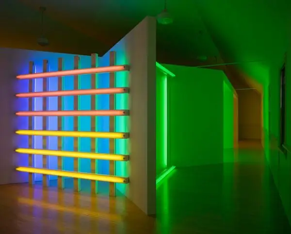 Художественный институт Дэна Флавина