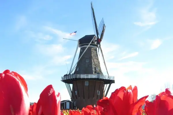 Сады острова Уиндмилл