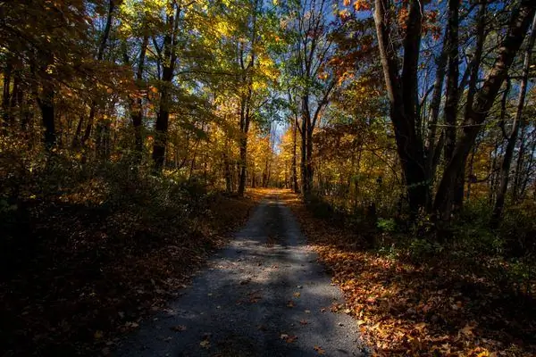 Дженни Джамп Государственный лес