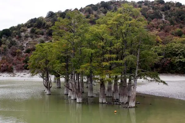 Кипарисовое озеро Сукко