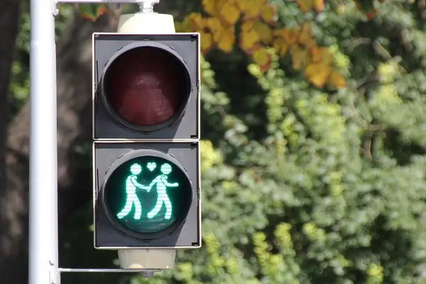 Венские светофоры на тему разнообразия